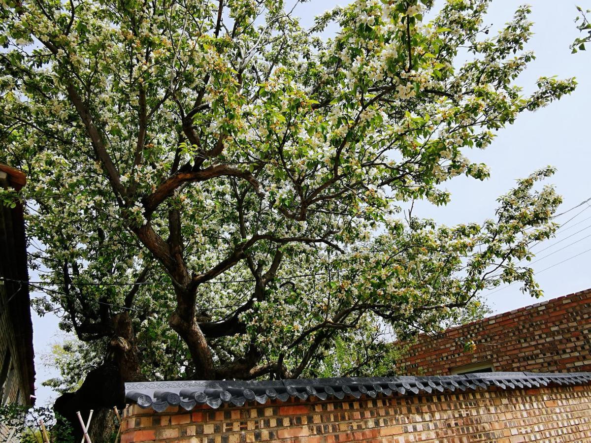 Air Cloud Guesthouse Huailai Exterior foto